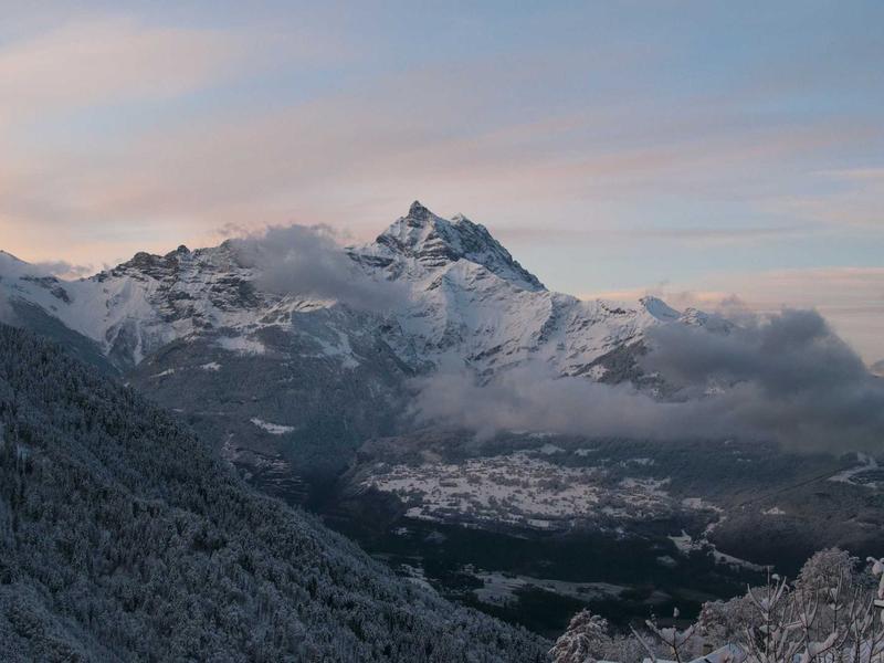 올인원 펫 케어 시스템